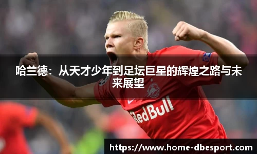 DB电竞官方正版网站